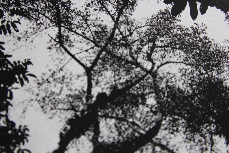 May include: Black and white silhouette of a tree with branches reaching up towards the sky.
