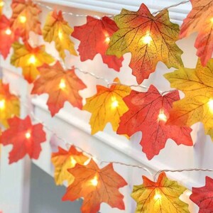 May include: String of lights with warm white bulbs and fall-colored maple leaf shaped covers. The leaves are in shades of orange, yellow, and red.