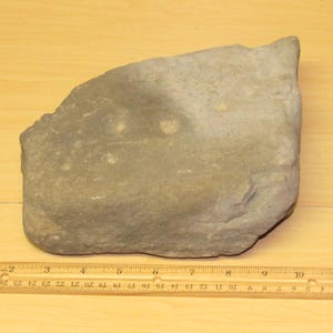 May include: A gray, irregularly shaped stone with a rough texture. A wooden ruler with inch markings is placed below the stone. The stone appears to be approximately 10 inches long.