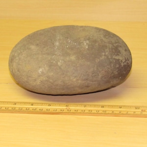 May include: A smooth, oval-shaped gray stone, possibly a river rock, rests on a light-colored wooden surface. A wooden ruler with inch markings is positioned below the stone, providing a size reference.