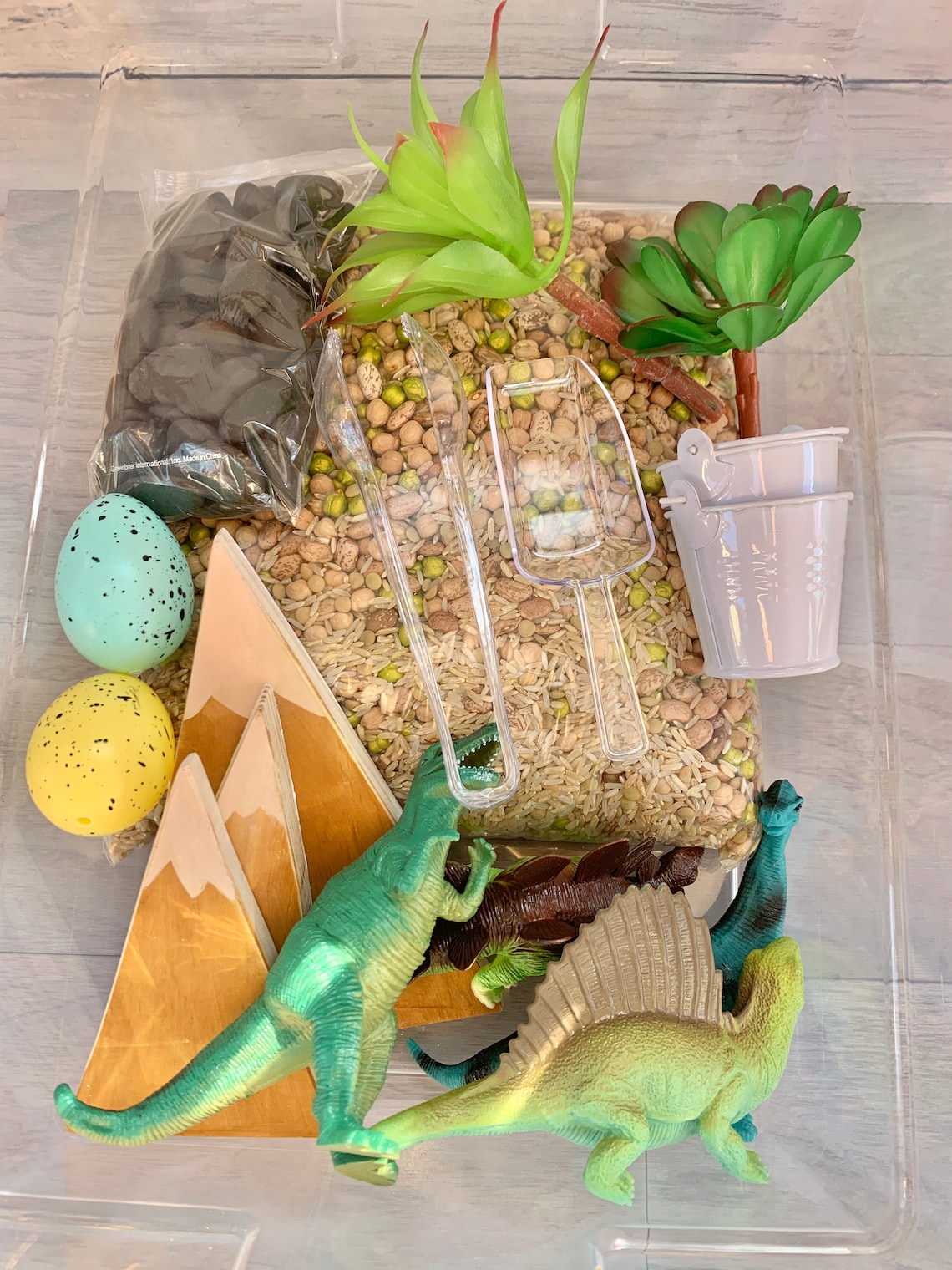 dinosaur sensory tray