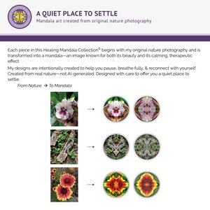Mandala transformation process from original nature photography showing flowers and natural elements evolving into symmetrical healing mandala designs from the Healing Mandala Collection