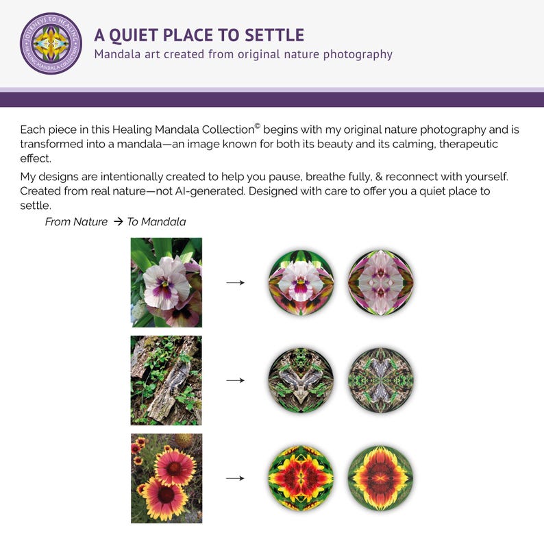 Mandala transformation process from original nature photography showing flowers and natural elements evolving into symmetrical healing mandala designs from the Healing Mandala Collection