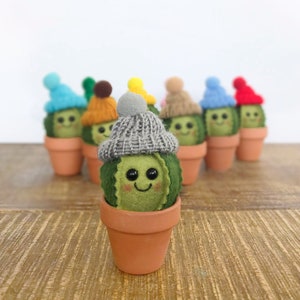 Winter hat Felt Cactus / cute cactus / felt plant / Christmas decor / home decor / pin cushion / gifts for her / gifts for teacher