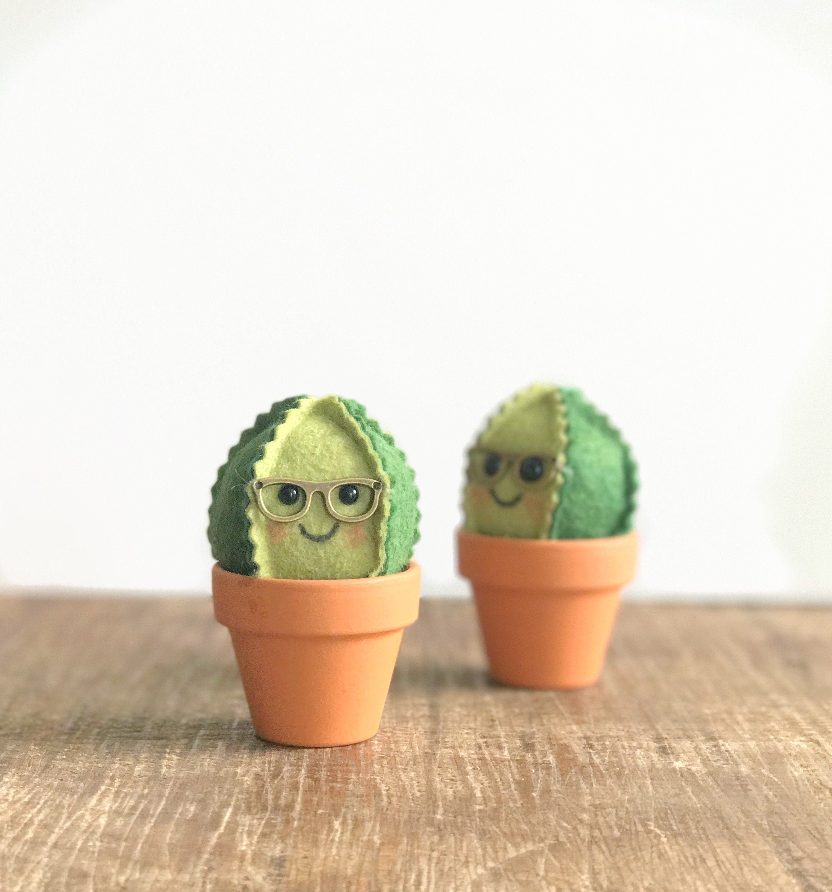 Nerdy Felt Cactus/Feutre Succulent Plante Feutre Faveur de Mariage Décoration à La Maison Cadeaux Po