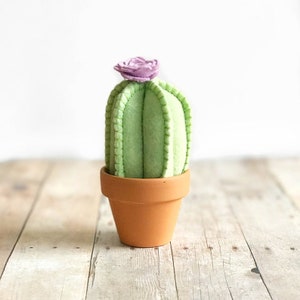 Star Felt Cactus / faux cactus / Felt succulent / felt plant / Cactus Home Decor / home decor / pin cushion