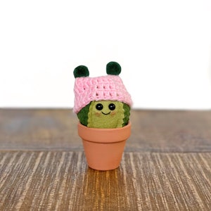 Pink knitted hat Felt Cactus / cute cactus / felt plant / Christmas decor / home decor / pin cushion / gifts for her / gifts for teacher