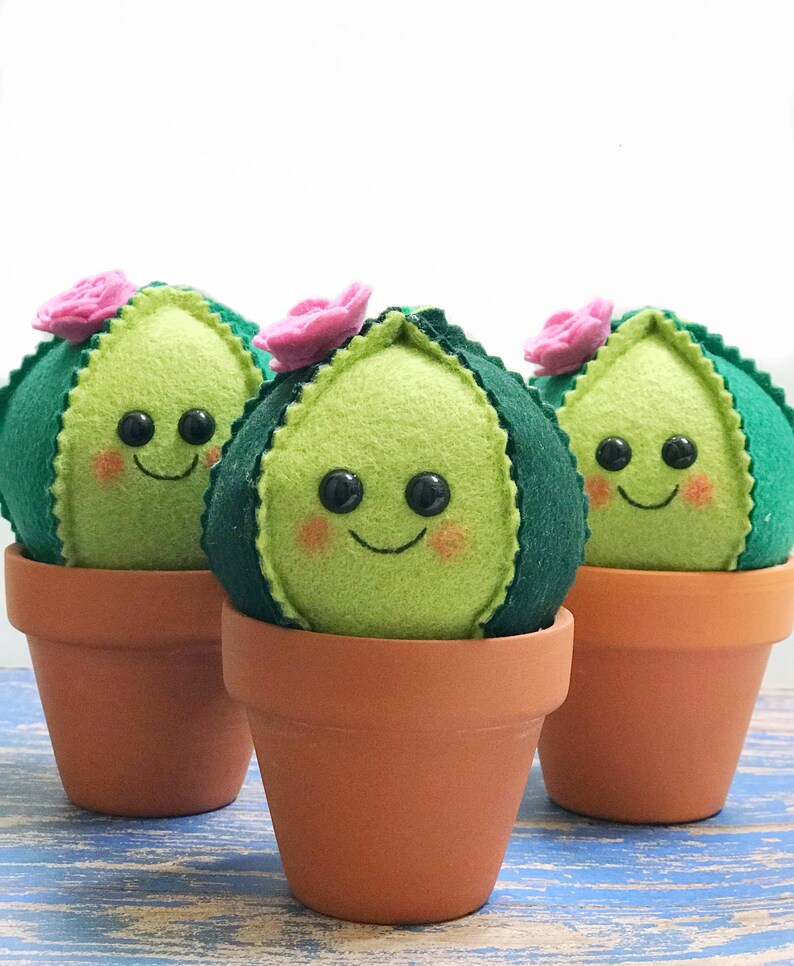 Cute Felt Cactus / Faux Succulent / Felt Plant / Wedding Favor Etsy
