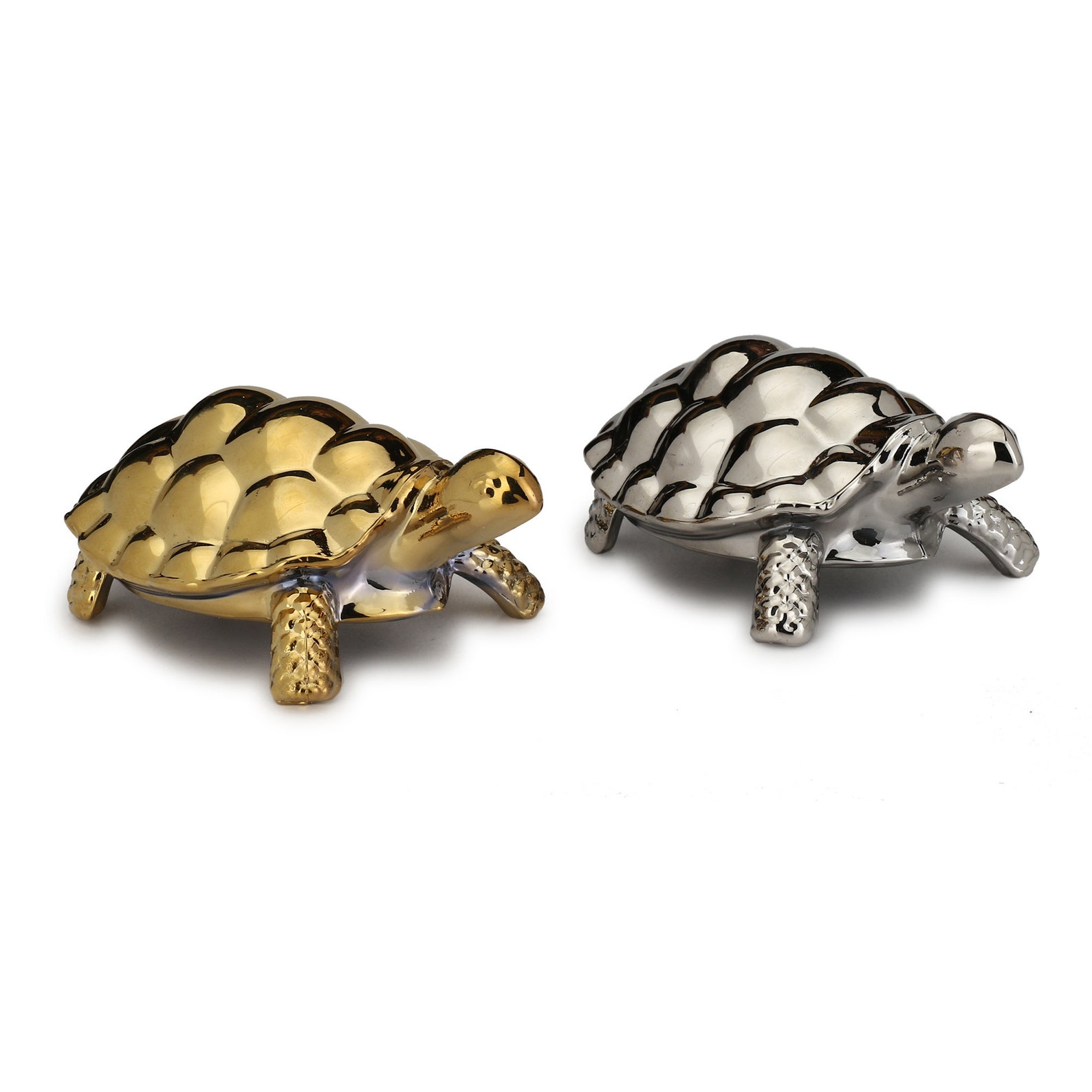 Набор черепахи. Комплект черепаха. Комплект черепаха золото. Золотые комплект с черепашками Platina. Торговля декоративными черепахами.