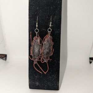 Cockroach Earrings