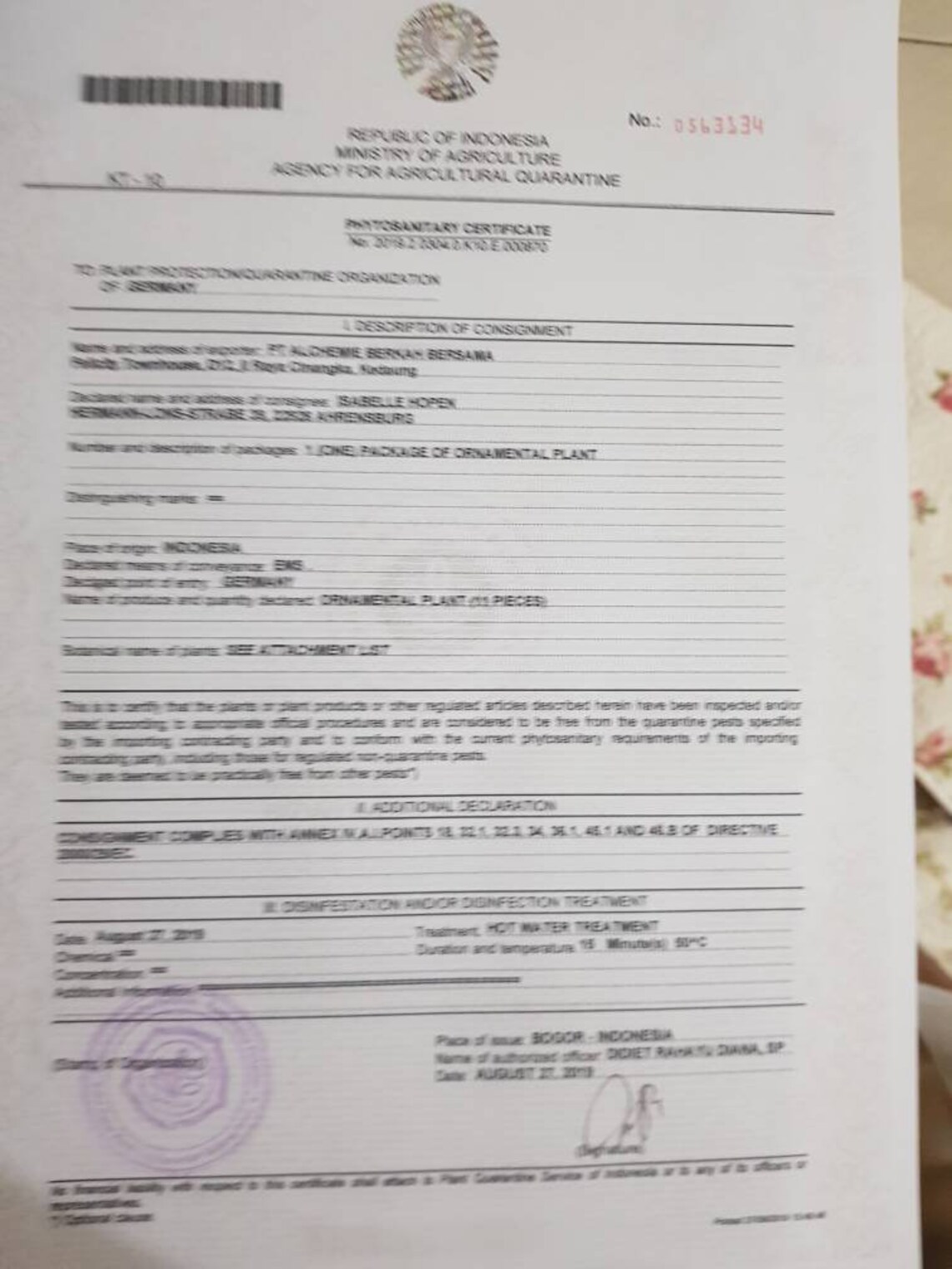 Phytosanitary Certificate Etsy