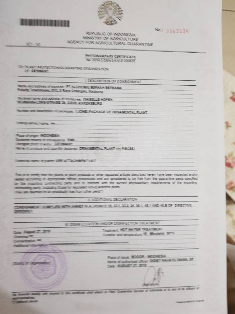 Phytosanitary Certificate  Etsy