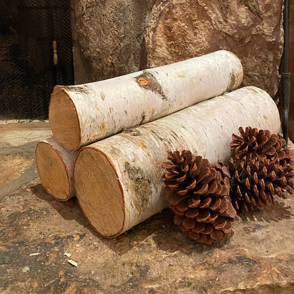 Amish-made Natural Large White Birch Logs - 3-packs - Great for Burning and Beautiful Seasonal Decor - Free Shipping!