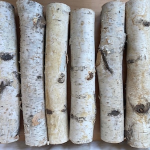 Amish-made Natural Medium White Birch Logs - 2&quot; to 3.5&quot; Diameter Logs - Qty 5 Logs - Great for Crafting and Seasonal Decor - Free Shipping!