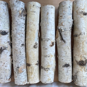 White Birch Logs 