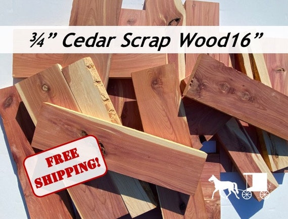 10 Wood Sticks for Crafting, Real Cedar Pole for DIY Projects and Decoration, Size: One Size
