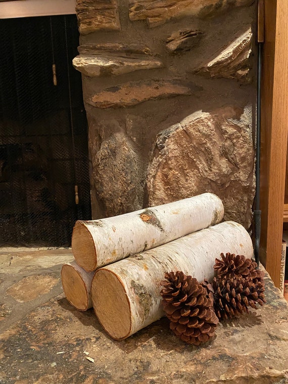 Fireplace birchwood logs decor  Log decor, Birch tree decor, Birch wood  decor