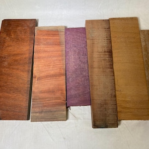 Variety Exotic Species Scrap Wood - Multi-pack - Cutting Board Accents, Woodworking, Wood Craft - Free Shipping!