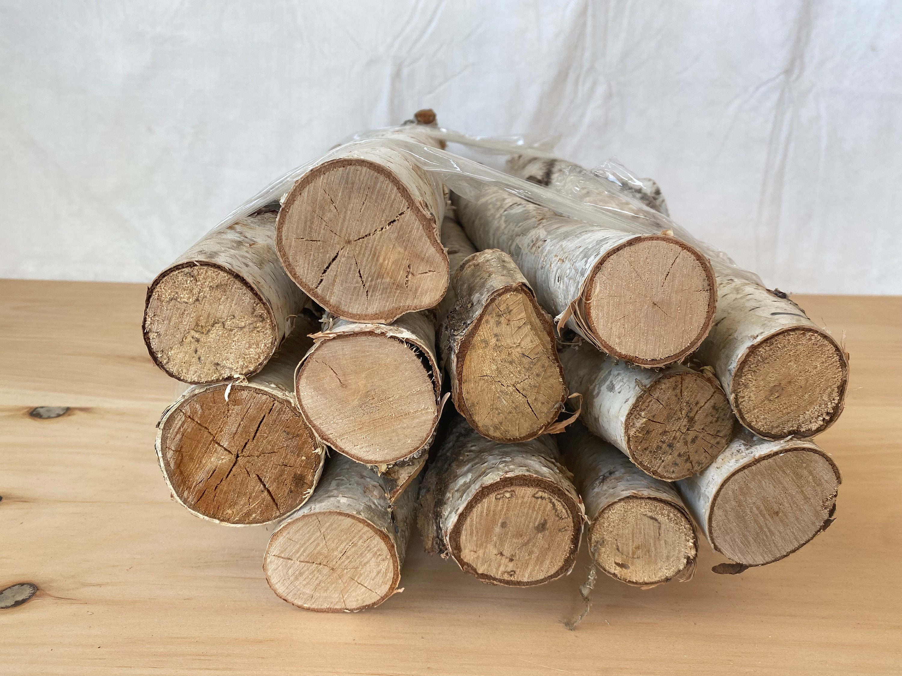 Small Birch Logs Etsy