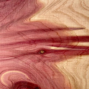 May include: Close-up of a piece of wood with a reddish-brown color and a swirling grain pattern. The wood has a natural, rustic look.