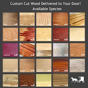 May include: A chart showing 20 different types of wood, each with a sample of the wood grain. The wood types are labeled with their common names, such as Walnut, Maple, Cherry, Cedar, Mahogany, Teak, Bloodwood, Bastwood, Purple Heart, Padauk, White/Black Ash, Blue Stain Pine, Alder, White Oak, Red Oak, Quartersawn White Oak, Tigerwood, Butternut, Spalted Maple, Leopardwood, Poplar, and Zebrawood.