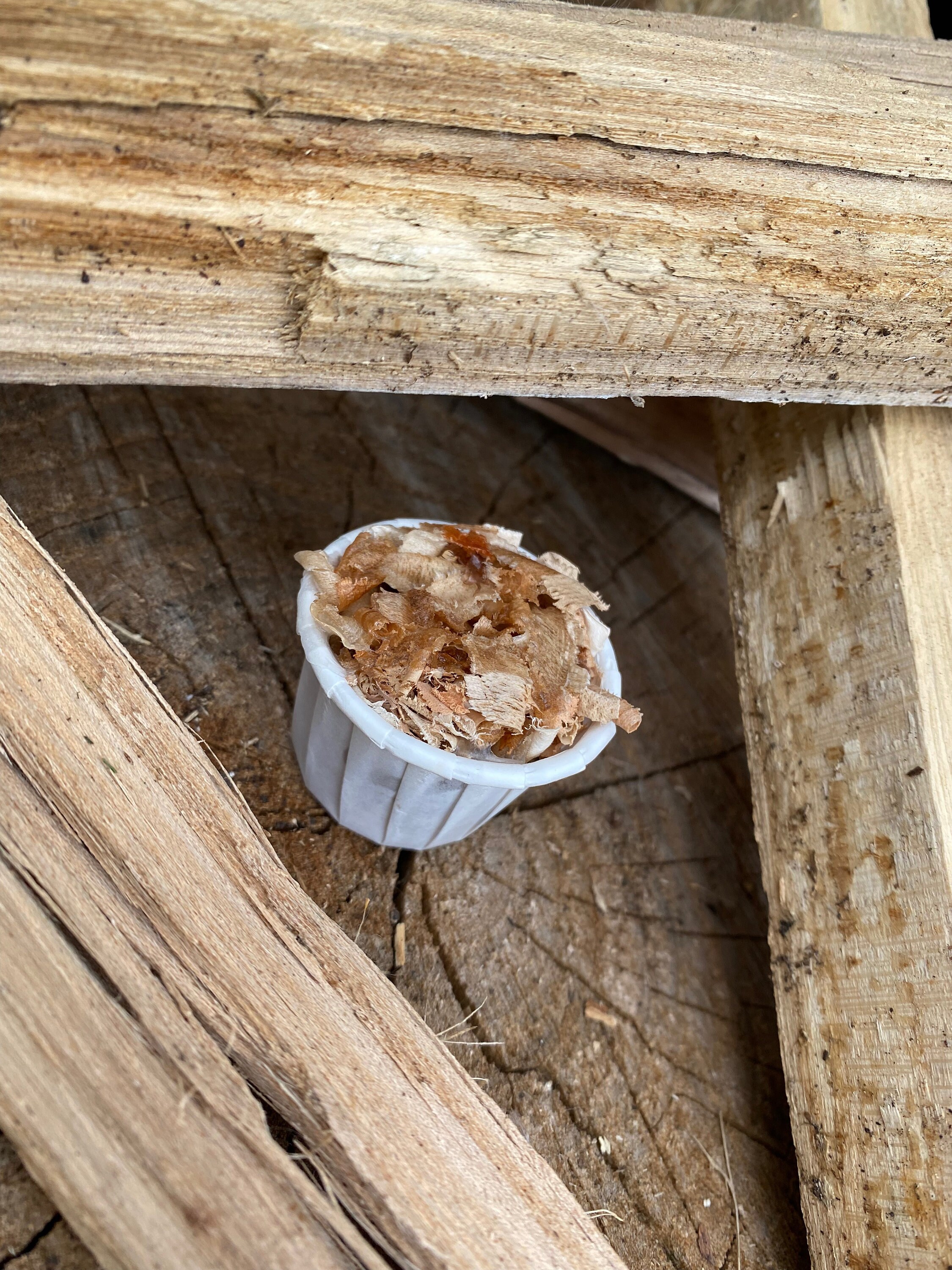 Amish-made Natural Organic Firestarter Qty 25 Camping - Etsy Israel