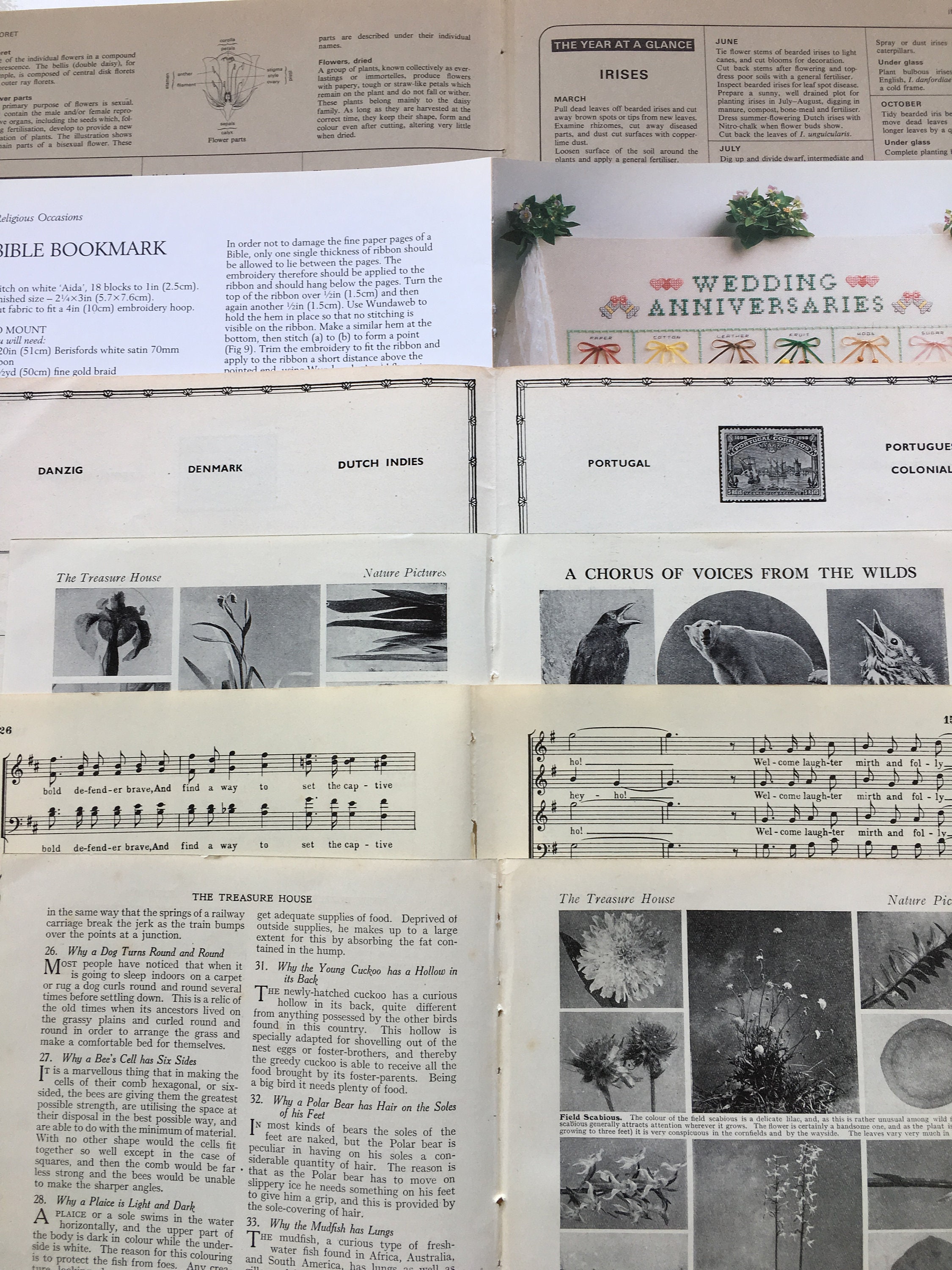 Vintage Book Page Ephemera Pack: Tea-dyed Paper for Junk Journals - Etsy UK