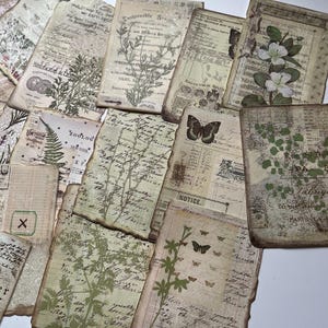 May include: A selection of vintage paper ephemera with botanical and butterfly designs. The papers have aged textures, handwritten script, and faded green and brown ink designs, creating a nostalgic aesthetic.