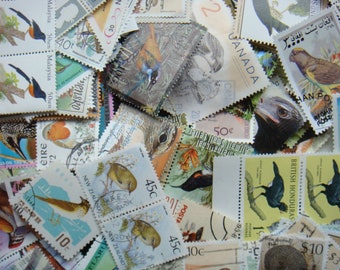 50 Bird Vintage Postage Stamps all different off paper for collecting or crafting. Scrapbooking, journals, collage, decoupage