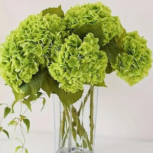 Real Touch Green Hortensienstängel (3er-Set) - Künstliche Blumen für Hochzeiten, Blumensträuße, Mittelstücke