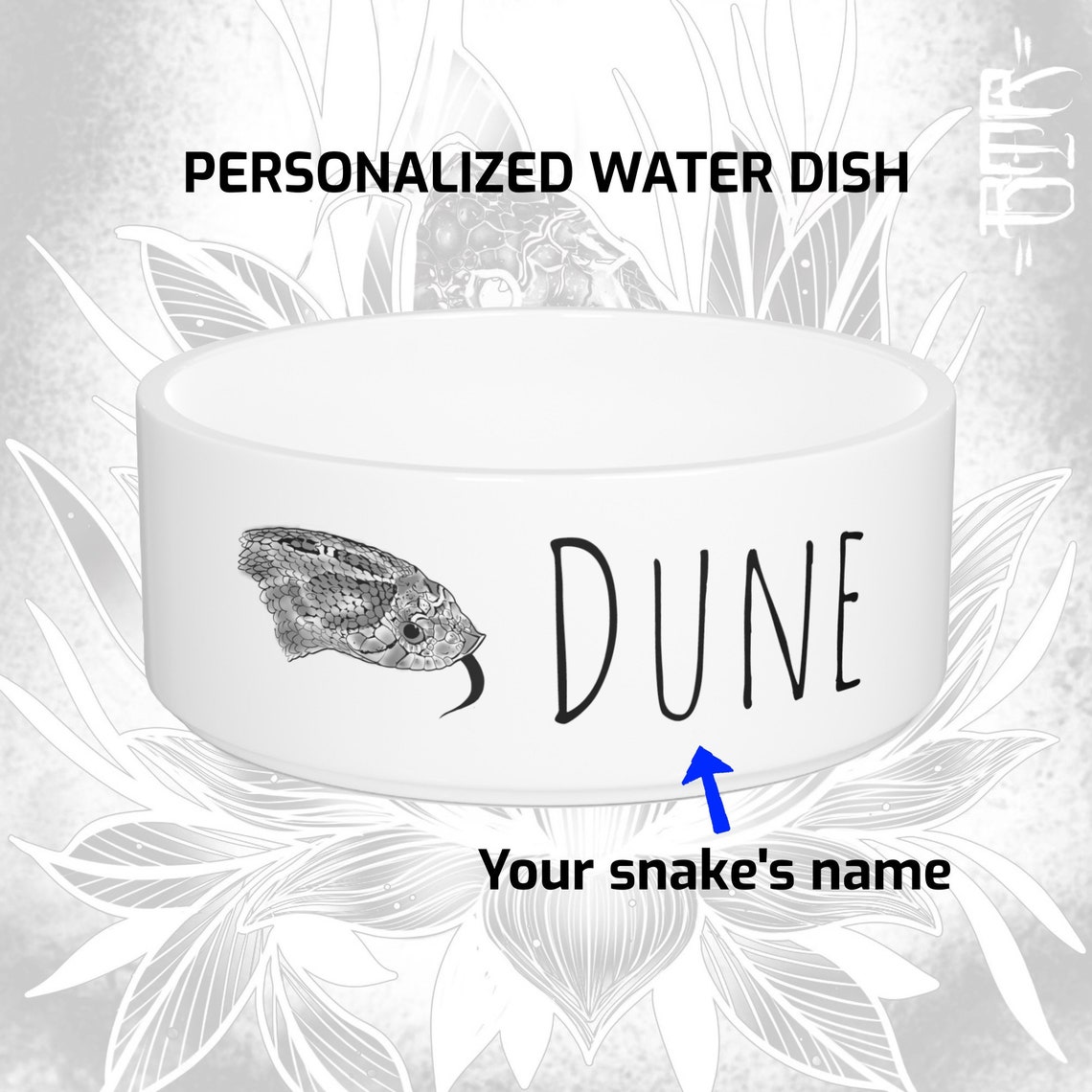 Personalized Hognose Snake Water Bowl Western Hognose Snake Etsy