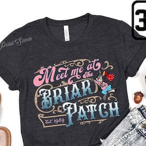 Meet Me at The Briar Patch Shirt, Splash Mountain, Disney Family Matching Shirt, WDW Disneyworld Shirt, Disney Family Trip E0534