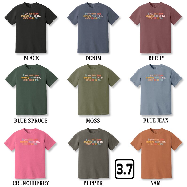 Comfort Colors Come Sit by Me Shirt, If You Don't Have Anything Nice to
