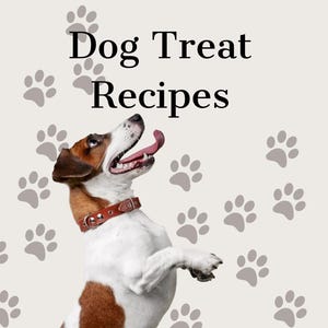 Hunde Leckerli Rezeptbuch: 30 Hausgemachte Haustier Snacks (31 Seiten PDF)