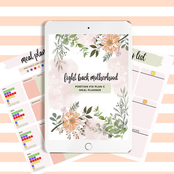 21 Day Fix Tracker - Etsy