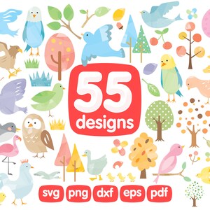 55 Vögel Clipart Bundle, Vogel Png, Schwalbe Clipart, Möwe Png, Spatz Svg, Pelikan Printable, Papagei Design, Eule Download, Baum Svg
