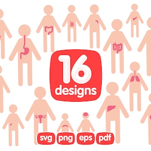 16 Organe Clipart Bundle, Menschliche Herz Clipart, Menschliche Körper Clipart, Menschliche Anatomie Clipart, Menschliche Organe Clipart, Lunge, Gehirn, Svg, Png, Eps