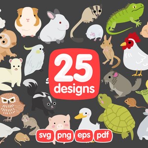 25 Petits Animaux Clipart Bundle, Cochon d’Inde, Canard, Guinée, Souris, Canard, Crâne, Écureuil, Souris, Canard, Mouffette, Écureuil, Animaux exotiques