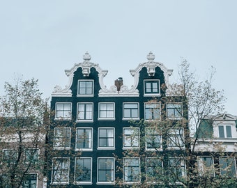 Amsterdam, Fotografia, Canal Row Houses, Olanda Immagine, Amsterdam Stampa, Amsterdam Wall Art, Albero, Blu e Bianco, Home Decor, Regalo