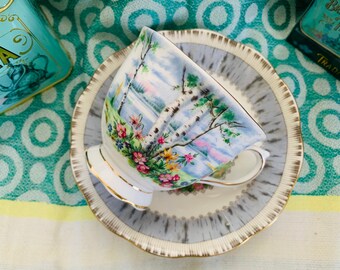 Vintage 1950s Royal Albert English Bone China Duo - Abedul plateado