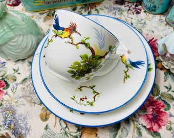 Vintage 1940er Jahre Melba English Bone China Trio - Paradiesvogel
