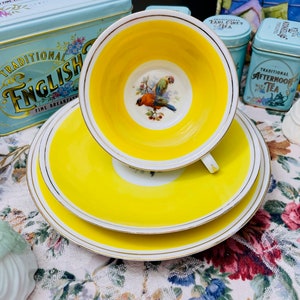 Vintage Epiag Czech 1950er Jahre Bone China Trio