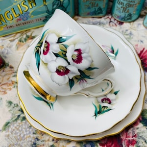 Vintage Colclough 1950er Jahre Bone China Trio - Teetasse, Unterteller und Teeteller - Weißer Hibiskus