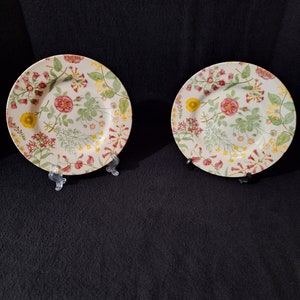 Set of Two Vintage &quot;Royal Stafford&quot; Flower  Earthenware Salad Plates 8.5&quot; inch