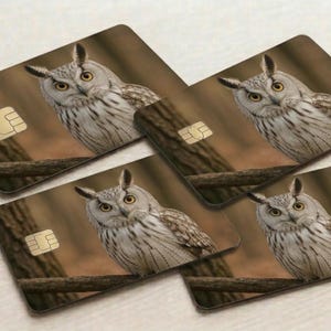 May include: Four rectangular cards featuring a detailed image of an owl perched on a branch. The owl has brown and white feathers, yellow eyes, and is set against a blurred brown background. Each card has a gold-colored chip.