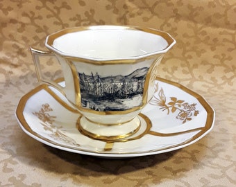 Antique G Demartine Avenir Limoges Single Tea Cup and Saucer Set Victorian Shabby Cottage Chic