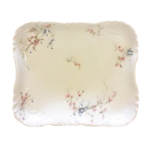 Può includere: Un vassoio da portata rettangolare in porcellana bianco sporco con bordo smerlato. Delicati rametti floreali rosa e blu sono dipinti sulla superficie. Il vassoio ha una forma leggermente curva e una finitura lucida.