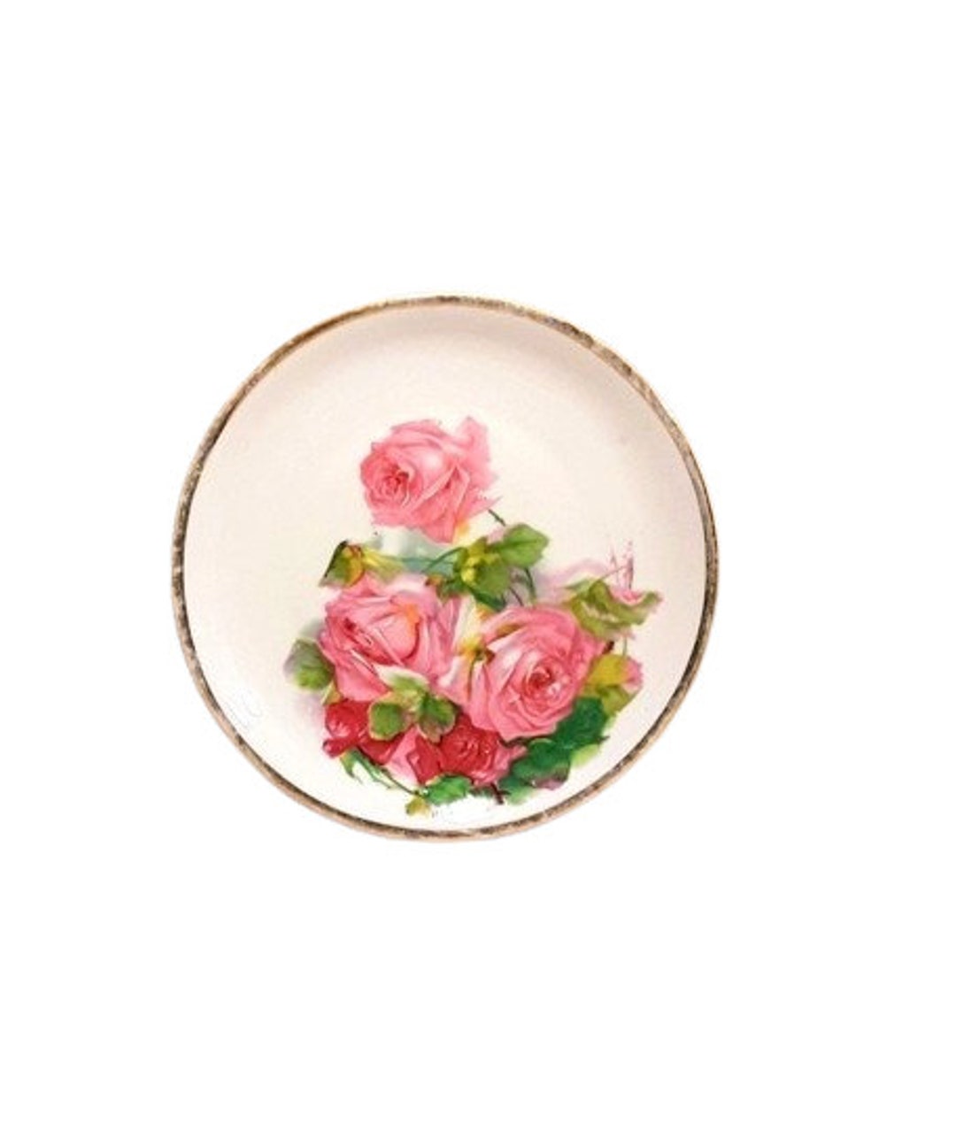 Antique調Roseドライタッチハーフリース Antike Watch Japanese Florist Shrub Rose – Highgarden Roses
