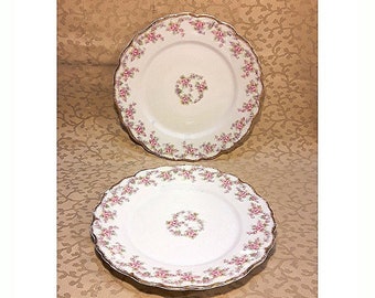 Antique Elite Limoges Plates Pair 7.5" Bawo and Dotter Tiny Pink Roses Victorian Porcelain Shabby Cottage Chic