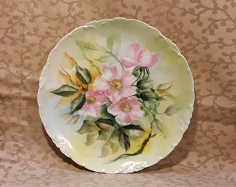 Antique Rosenthal Victorian Plate 7" Hand Painted Pink Roses Porcelain Shabby Cottage Chic